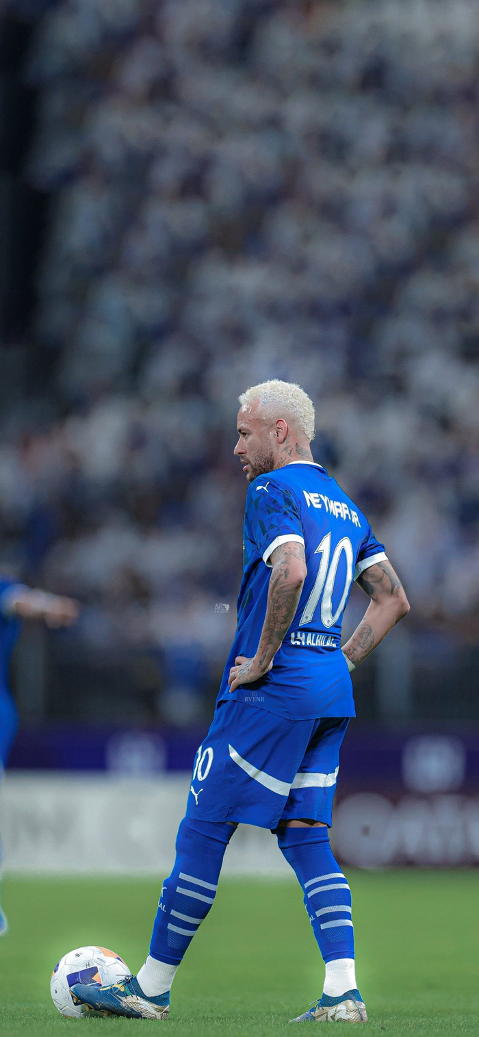 包括赛内数 包括赛内数